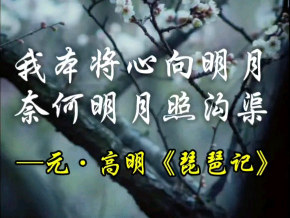 这个社会 老实人难当，  好心错付，一文不值......